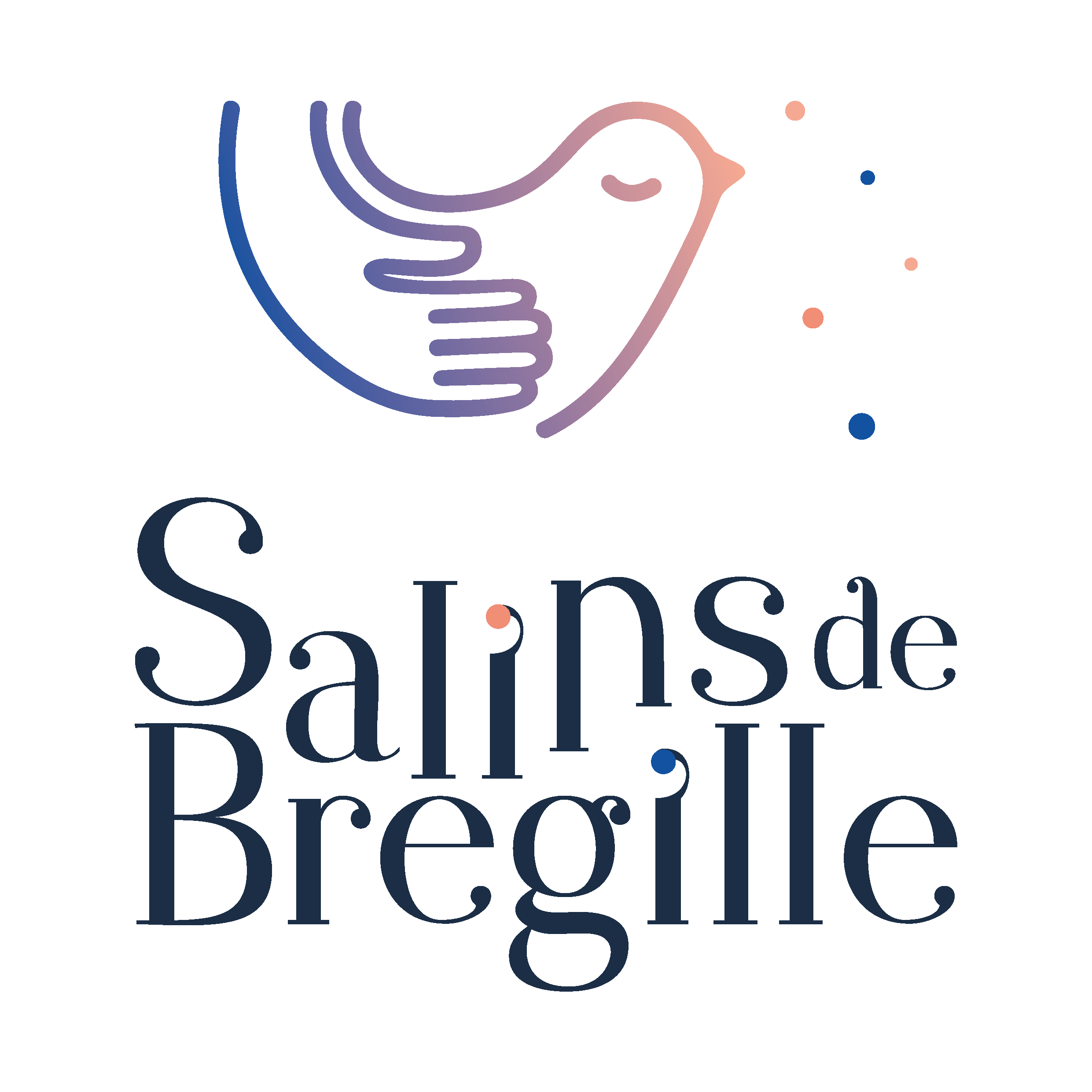 LES SALINS DE BREGILLE